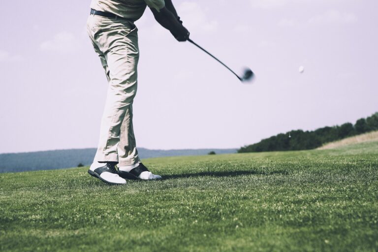 チキンゴルフは本当に怪しいのか？