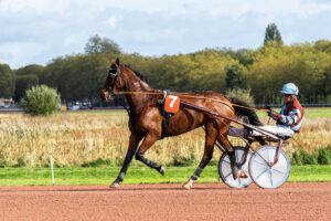 ドライバーのヘッドスピードを上げるための効果的な練習法は？